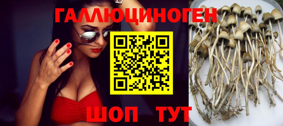 Псилоцибиновые грибы мицелий  Вход с VPN  как найти закладки  Камышлов 